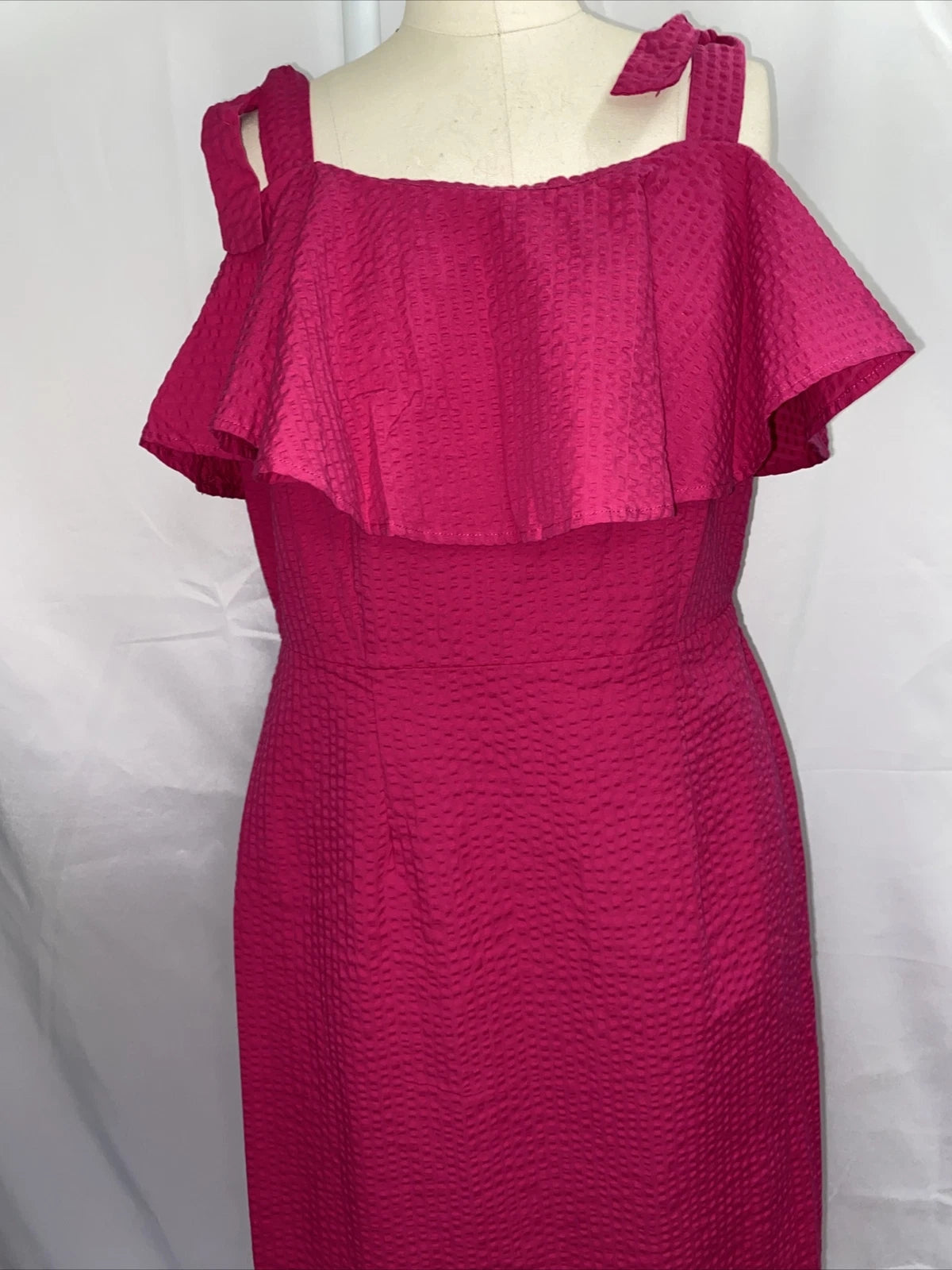 A New Day Fuchsia Sleeveless Ruffled Seersucker Dress - Large
